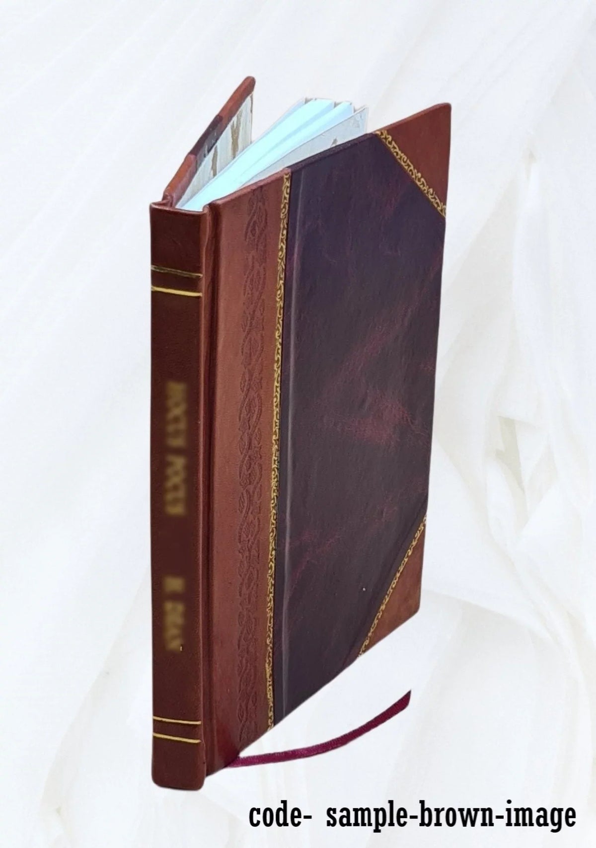 Experiments in aerodynamics 1891 [Leather Bound]