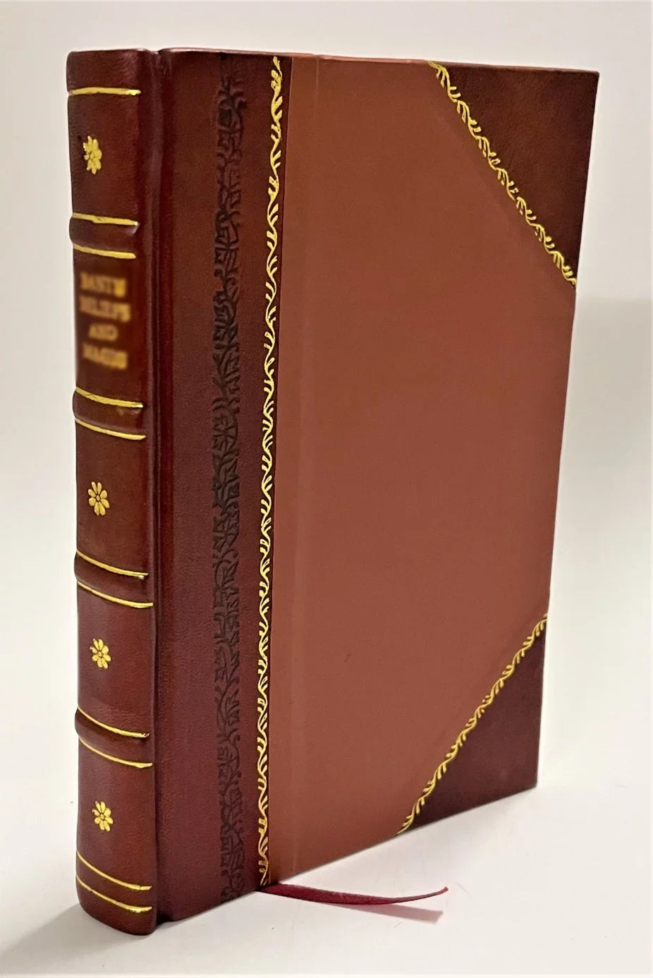 I marmi di Sizeanta Maria del Giudice e Sizean Lorenzo a Vaccoli Giuseppe Meneghini [Leather Bound]