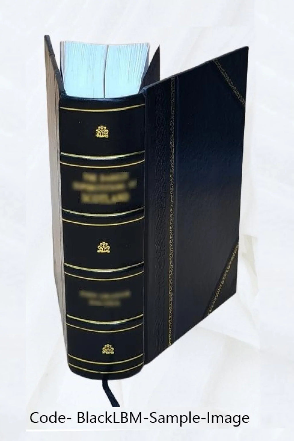 Memorie storiche delle arti e degli artisti della Marca di Ancona 1834 [Leather Bound]