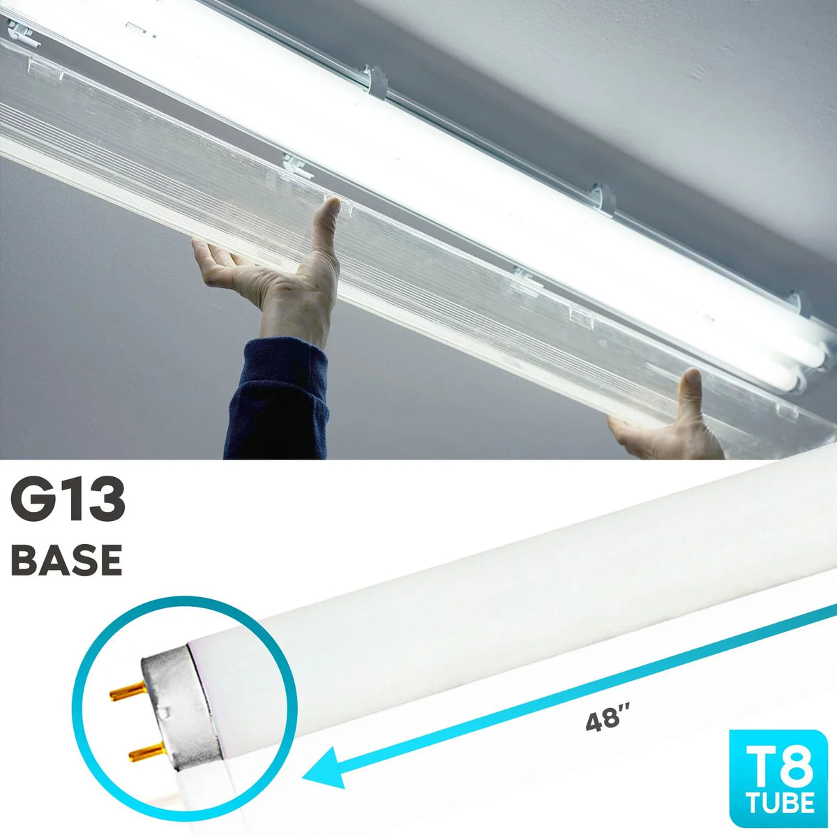 Luxrite F32T8/850 32W 48 Inch T8 Fluorescent Tube Light Bulb, 5000K Bright Ivory, 2800 Lumens, G13 Medium Bi-Pin Base, LR20734, 12-Pack