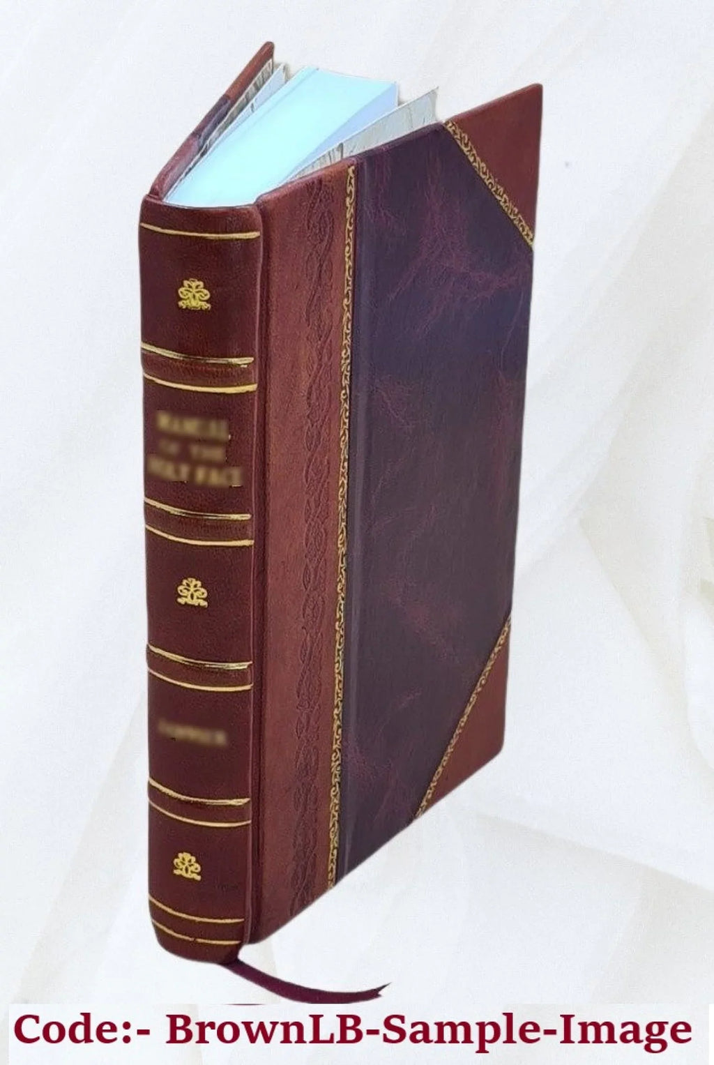 Essay on fingering the violoncello : and on the conduct of the bow ; dedicated to professors of the instrument / by J.L. Duport ; translated from the original by John Bishop. 1852