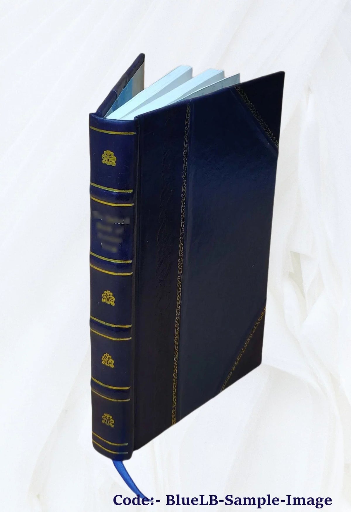 A distinguished provincial at Paris (Un grand homme de province a Paris) and Z. Marcas; tr. by Ellen Marriage ... 1898 [Leather Bound]