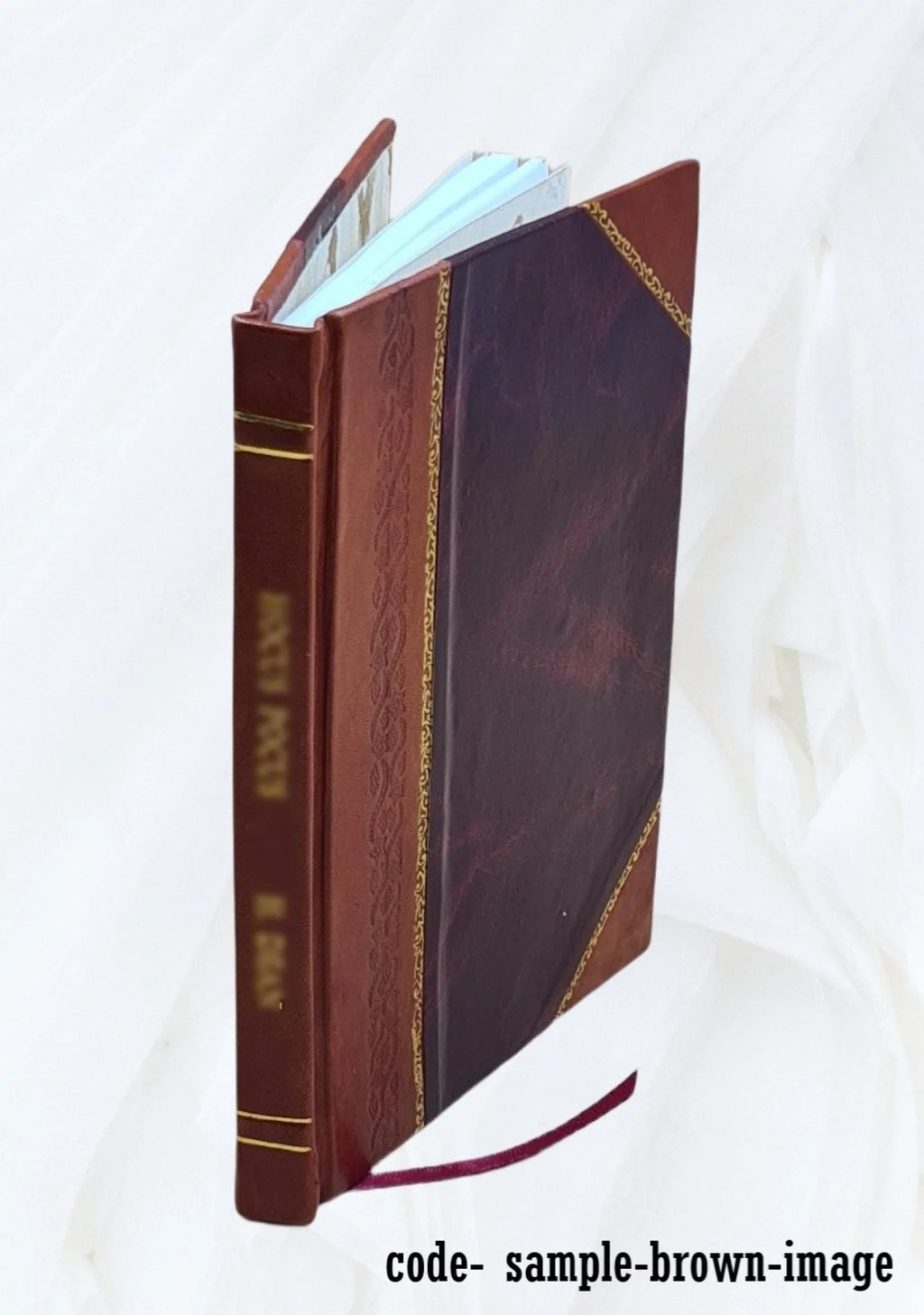 Protestants awake 1893 [Leather Bound]
