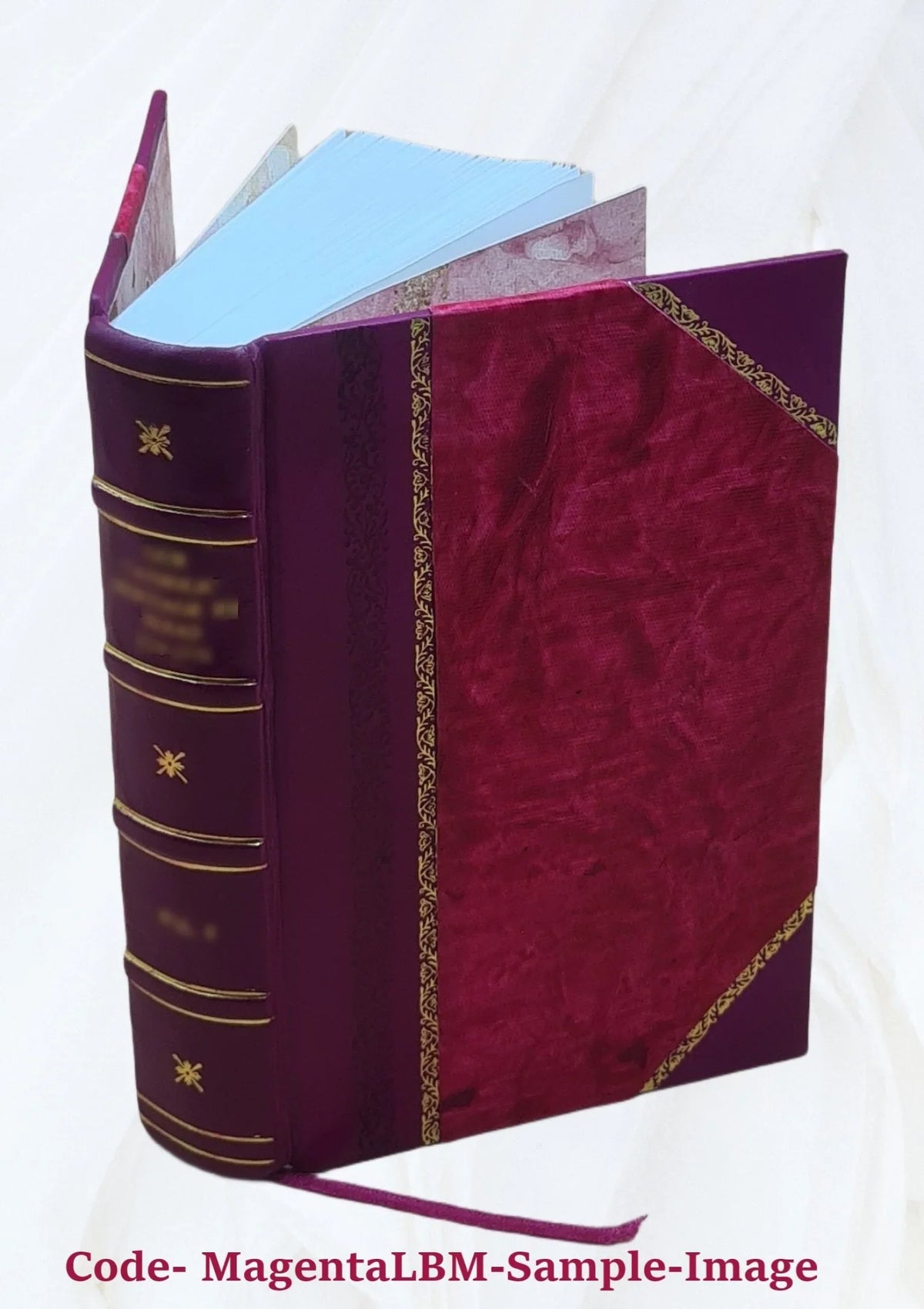 History of Mills County, Iowa, containing a history of the county, its cities, towns, etc., a biographical directory of many of its leading citizens, war record of its volunteers i