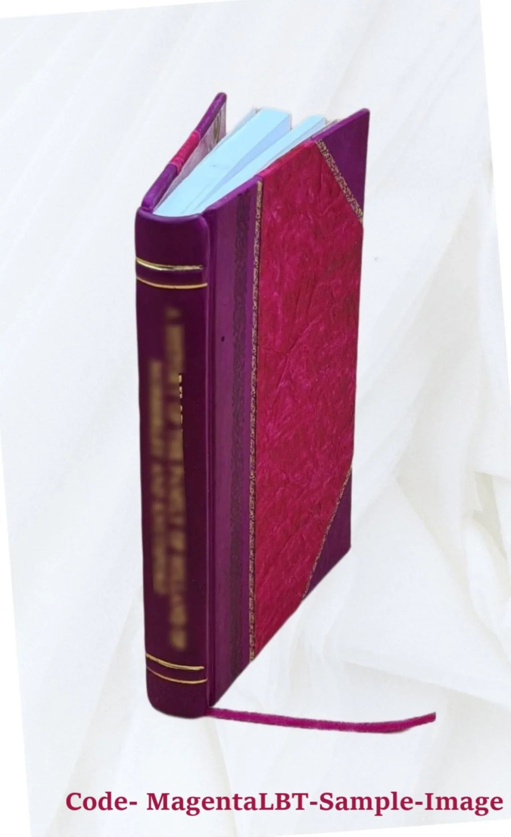 Methanol : its synthesis, use as a fuel, economics, and hazards ... / by David LeRoy Hagen. 1976 [Leather Bound]