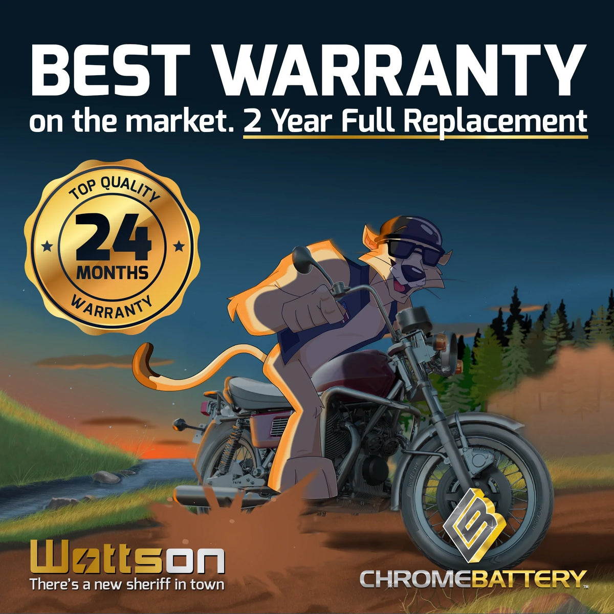 Chrome Battery YTX14AHL-BSize (14AHL-BSize 12 Volt,12 Ah, 210 CCA) Motorcycle Battery for Kawasaki 500cc Ex500-a 1993