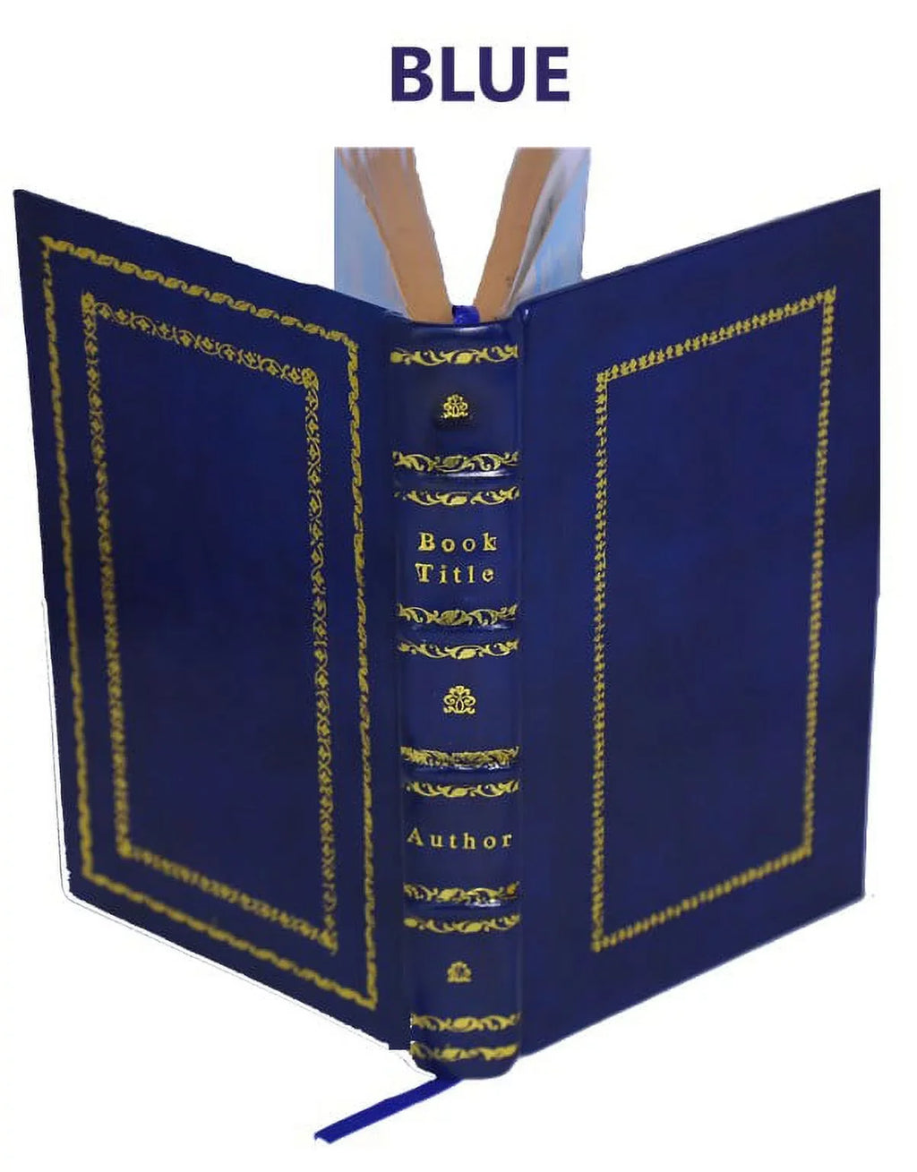 L'historia di casa Orsina / di Francesco Sizeansovino ; nella quale oltre all'origine sua si contengono molte nobili imprese fatte da loro in diuerse prouincie [Premium Leather Bound]