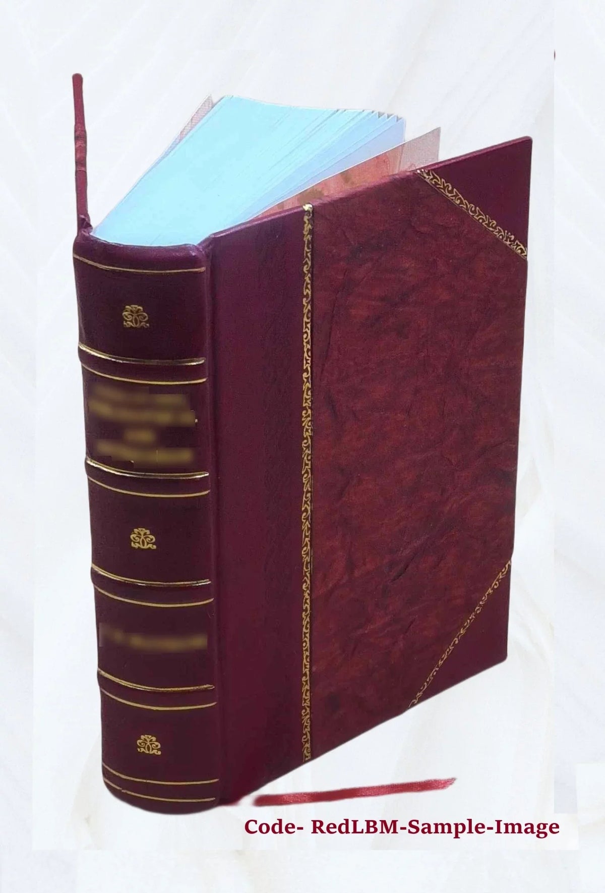 Memorie storiche delle arti e degli artisti della Marca di Ancona 1834 [Leather Bound]