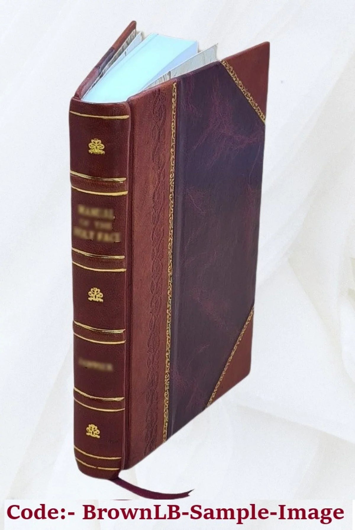 Sizean Remo and the western Riviera climatically and medically considered 1883 [Leather Bound]